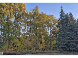 #49 50322 RGE ROAD 10, Rural Parkland County